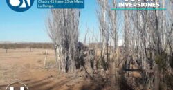 Chacra de 45 hectáreas en 25 de Mayo, La Pampa.