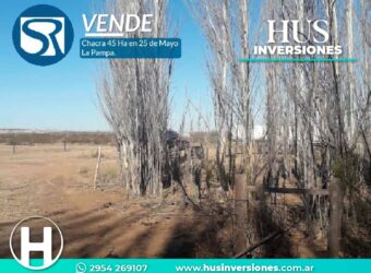 Chacra de 45 hectáreas en 25 de Mayo, La Pampa.