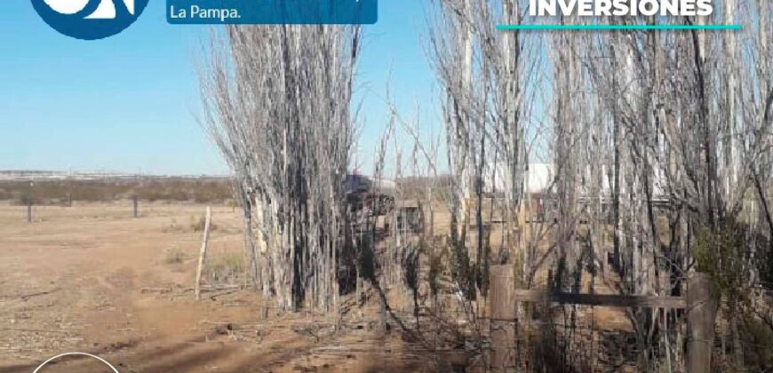 Chacra de 45 hectáreas en 25 de Mayo, La Pampa.