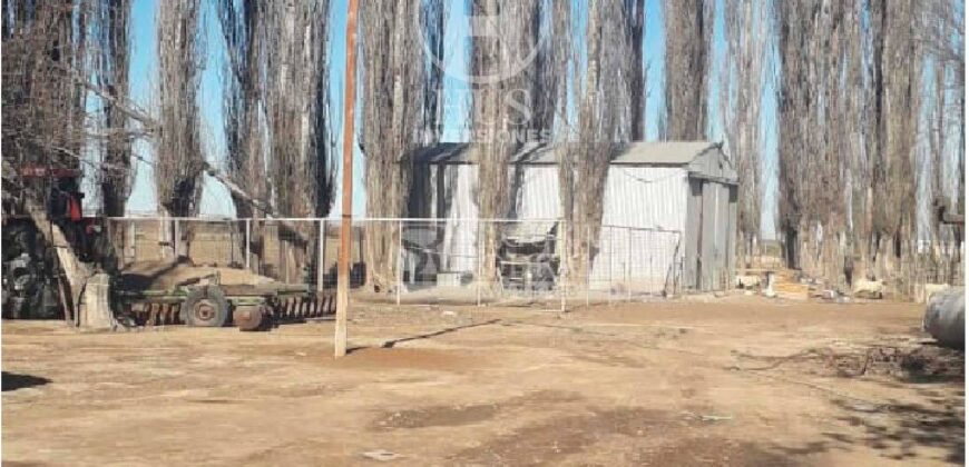Chacra de 45 hectáreas en 25 de Mayo, La Pampa.