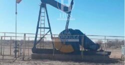 Chacra de 45 hectáreas en 25 de Mayo, La Pampa.