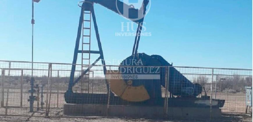 Chacra de 45 hectáreas en 25 de Mayo, La Pampa.
