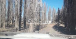 Chacra de 45 hectáreas en 25 de Mayo, La Pampa.