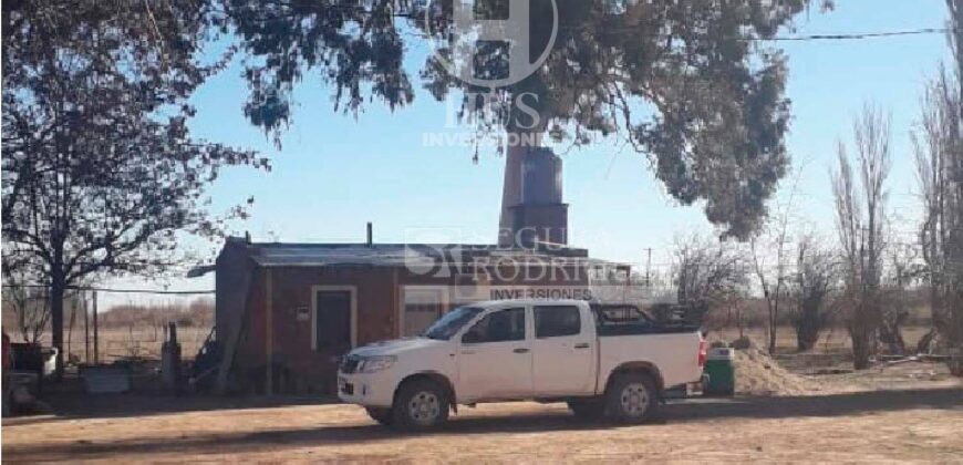 Chacra de 45 hectáreas en 25 de Mayo, La Pampa.