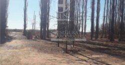 Chacra de 45 hectáreas en 25 de Mayo, La Pampa.
