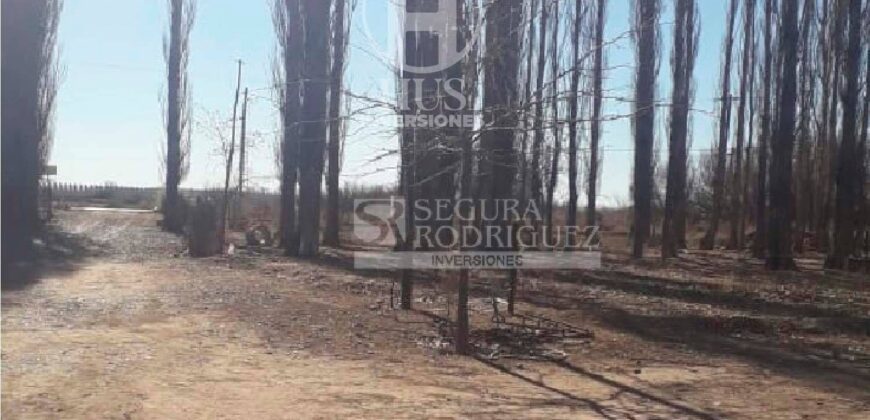 Chacra de 45 hectáreas en 25 de Mayo, La Pampa.