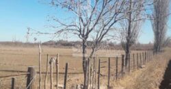 Chacra de 45 hectáreas en 25 de Mayo, La Pampa.