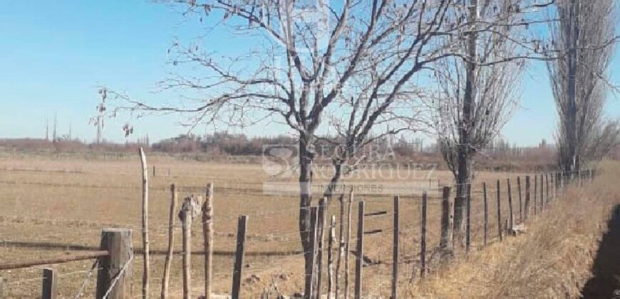Chacra de 45 hectáreas en 25 de Mayo, La Pampa.