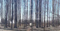 Chacra de 45 hectáreas en 25 de Mayo, La Pampa.