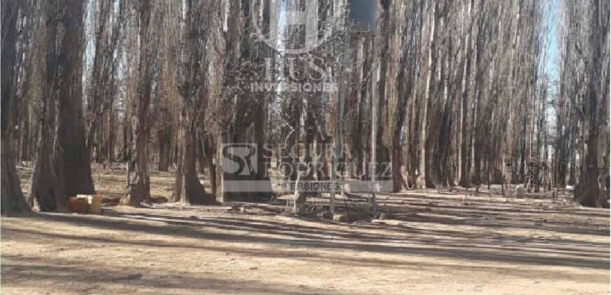 Chacra de 45 hectáreas en 25 de Mayo, La Pampa.