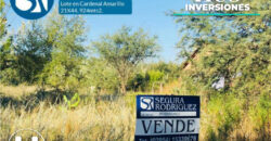Lote en Cardenal Amarillo e/Cachirla y Pepitero