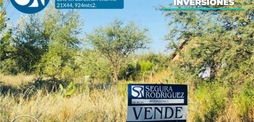 Lote en Cardenal Amarillo e/Cachirla y Pepitero