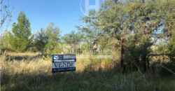 Lote en Cardenal Amarillo e/Cachirla y Pepitero