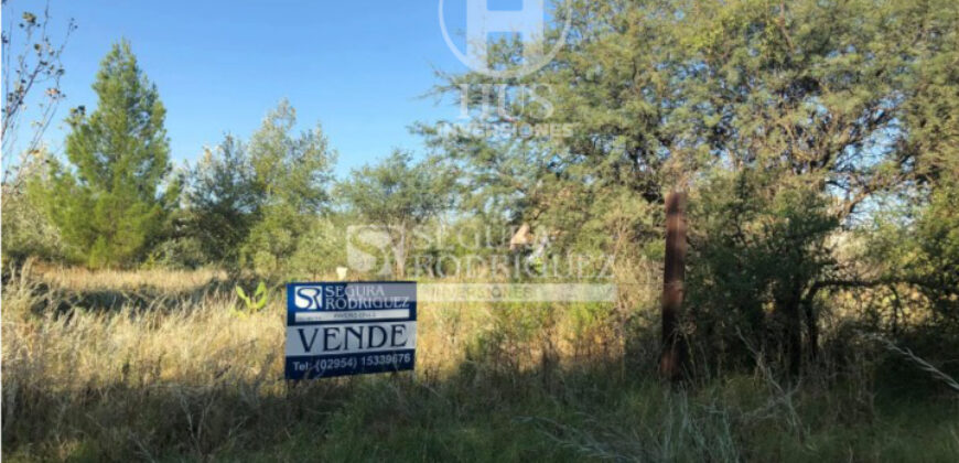 Lote en Cardenal Amarillo e/Cachirla y Pepitero