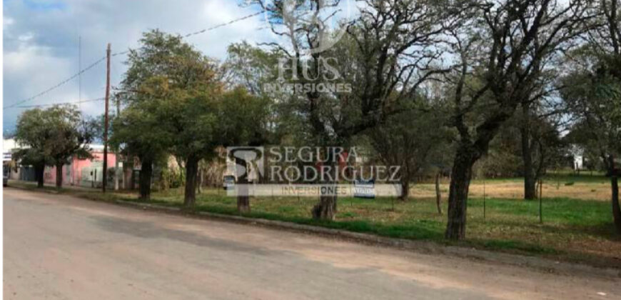 TERRENO CÉNTRICO EN TOAY