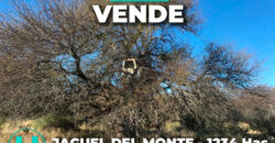 1234 has – Zona de Jagüel del Monte, La Pampa.