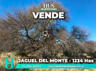1234 has – Zona de Jagüel del Monte, La Pampa.