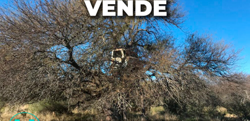 1234 has – Zona de Jagüel del Monte, La Pampa.