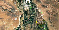 Campo 321,40 has en Colonia 25 de Mayo (La Pampa)