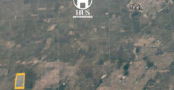 1234 has – Zona de Jagüel del Monte, La Pampa.