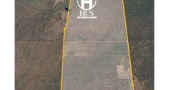 1234 has – Zona de Jagüel del Monte, La Pampa.