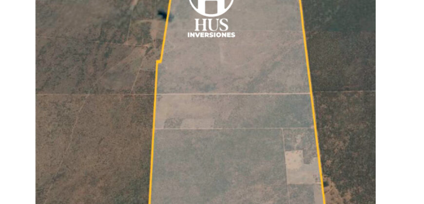 1234 has – Zona de Jagüel del Monte, La Pampa.