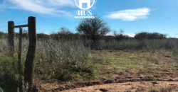 1234 has – Zona de Jagüel del Monte, La Pampa.