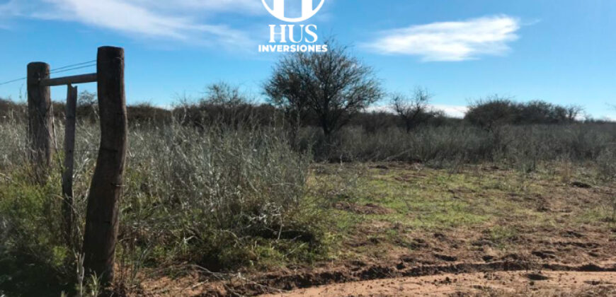 1234 has – Zona de Jagüel del Monte, La Pampa.