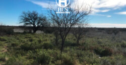 1234 has – Zona de Jagüel del Monte, La Pampa.