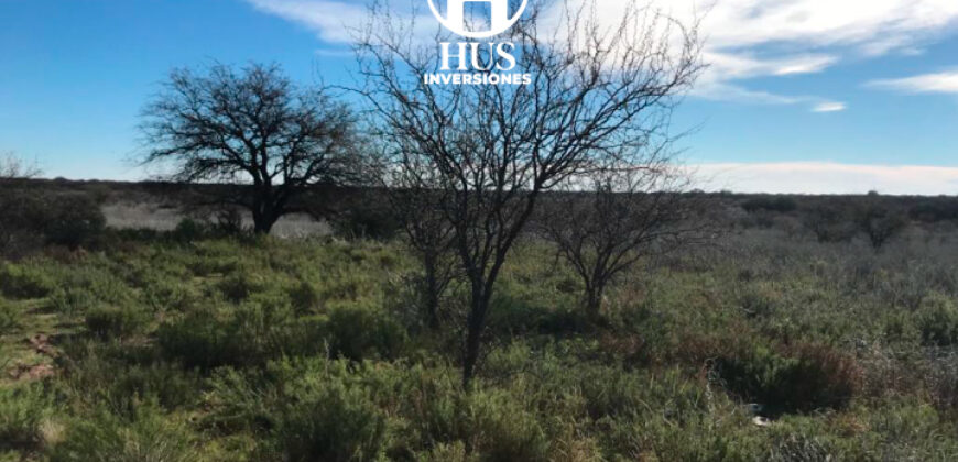 1234 has – Zona de Jagüel del Monte, La Pampa.