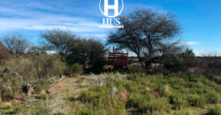 1234 has – Zona de Jagüel del Monte, La Pampa.