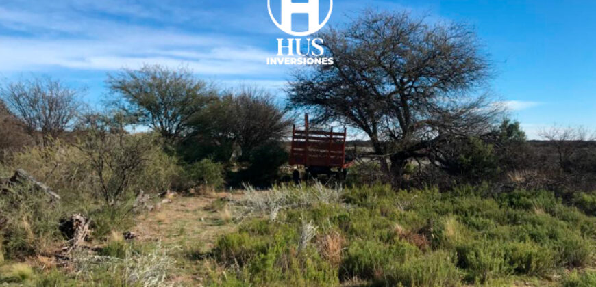 1234 has – Zona de Jagüel del Monte, La Pampa.