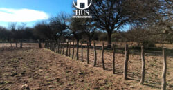 1234 has – Zona de Jagüel del Monte, La Pampa.