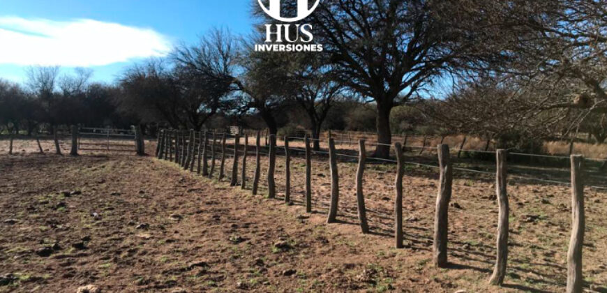 1234 has – Zona de Jagüel del Monte, La Pampa.