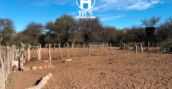 1234 has – Zona de Jagüel del Monte, La Pampa.