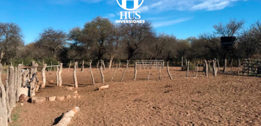 1234 has – Zona de Jagüel del Monte, La Pampa.