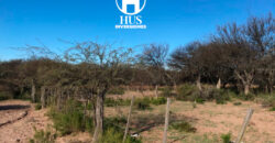 1234 has – Zona de Jagüel del Monte, La Pampa.