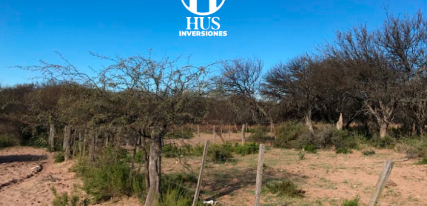 1234 has – Zona de Jagüel del Monte, La Pampa.