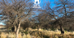 1234 has – Zona de Jagüel del Monte, La Pampa.