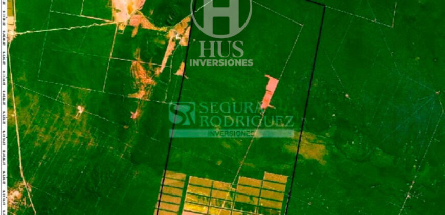 Campo de 11795 en Oran (Salta)