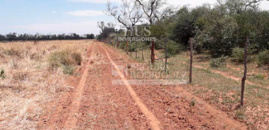 Campo de 11795 en Oran (Salta)