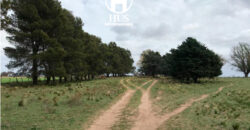 270 HAS AGRICOLAS-GANADERAS A 10KM DE SANTA ROSA 
