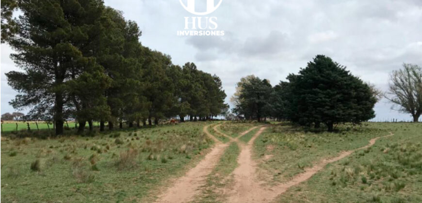 270 HAS AGRICOLAS-GANADERAS A 10KM DE SANTA ROSA 