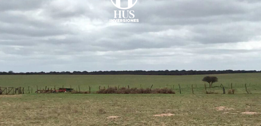270 HAS AGRICOLAS-GANADERAS A 10KM DE SANTA ROSA 