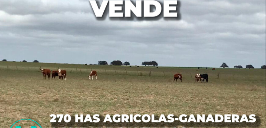270 HAS AGRICOLAS-GANADERAS A 10KM DE SANTA ROSA 