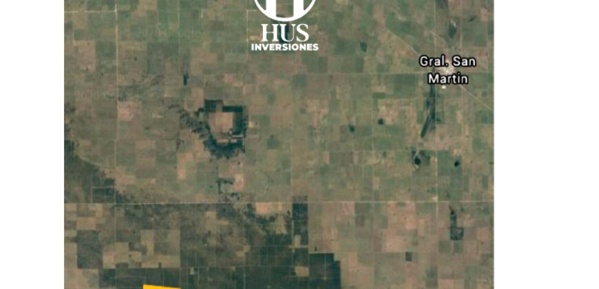 COTO DE CAZA de 1435 has en Bernasconi (La Pampa)