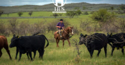 COTO DE CAZA de 1435 has en Bernasconi (La Pampa)