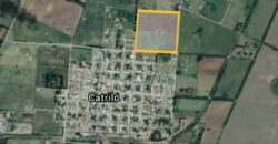LOTEO SAN JOAQUIN (Catrilo)