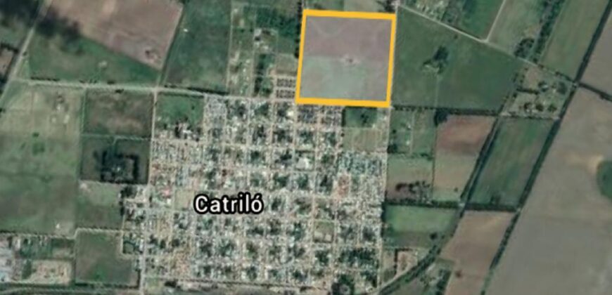 LOTEO SAN JOAQUIN (Catrilo)