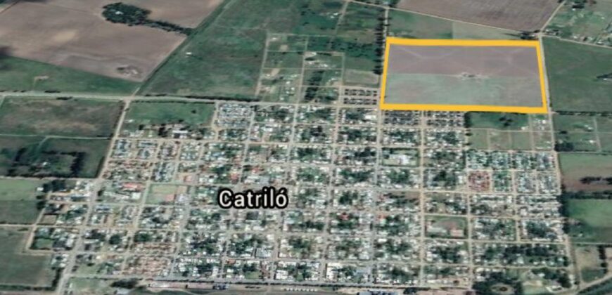LOTEO SAN JOAQUIN (Catrilo)